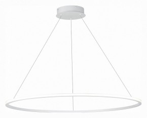Подвесной светильник ST-Luce ST604 OUT ST604.543.57 в Режи - rezh.mebel24.online | фото 3