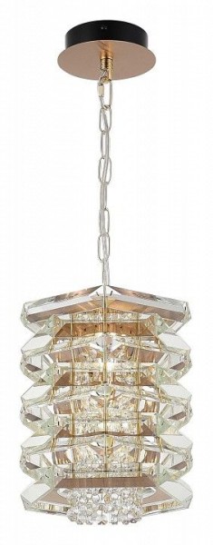 Подвесной светильник ST-Luce STROZZI SL6137.203.01 в Режи - rezh.mebel24.online | фото 4