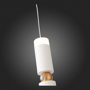 Подвесной светильник ST-Luce Tuore SL1592.503.01 в Режи - rezh.mebel24.online | фото 5
