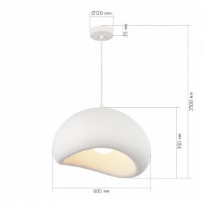 Подвесной светильник ST-Luce WABI SABI SL1522.513.01 в Режи - rezh.mebel24.online | фото 5