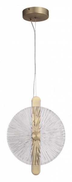 Подвесной светильник ST-Luce WASI SL6141.303.01 в Режи - rezh.mebel24.online | фото 3