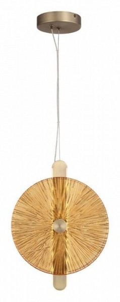Подвесной светильник ST-Luce WASI SL6141.313.01 в Режи - rezh.mebel24.online | фото 2