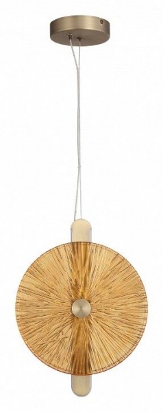 Подвесной светильник ST-Luce WASI SL6141.313.01 в Режи - rezh.mebel24.online | фото 3