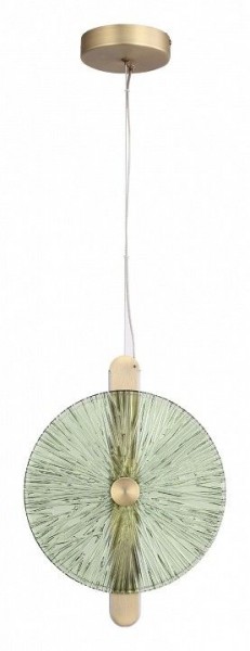 Подвесной светильник ST-Luce WASI SL6141.323.01 в Режи - rezh.mebel24.online | фото 3