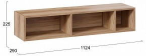 Полка навесная ТД-102.28 в Режи - rezh.mebel24.online | фото 9