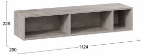 Полка навесная ТД-102.28 в Режи - rezh.mebel24.online | фото 8