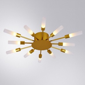 Потолочная люстра Arte Lamp Maple A1276PL-12GO в Режи - rezh.mebel24.online | фото 1