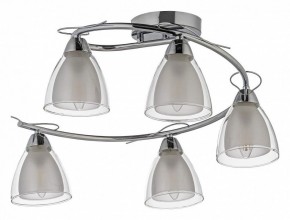 Потолочная люстра Arti Lampadari Paola, Tavenna Nickel Paola E 1.1.5 N в Режи - rezh.mebel24.online | фото