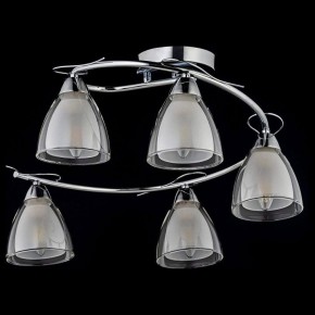 Потолочная люстра Arti Lampadari Paola, Tavenna Nickel Paola E 1.1.5 N в Режи - rezh.mebel24.online | фото 2