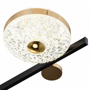 Потолочная люстра Escada Liberta 10219/6LED в Режи - rezh.mebel24.online | фото 6