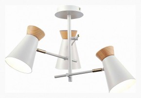 Потолочная люстра EVOLUCE Alfeo SLE1252-502-03 в Режи - rezh.mebel24.online | фото