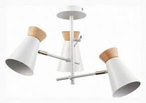 Потолочная люстра EVOLUCE Alfeo SLE1252-502-03 в Режи - rezh.mebel24.online | фото 2