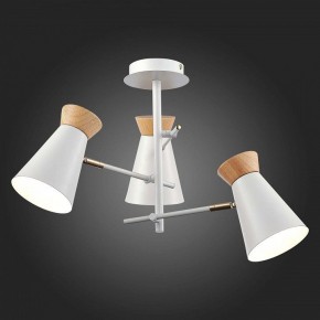 Потолочная люстра EVOLUCE Alfeo SLE1252-502-03 в Режи - rezh.mebel24.online | фото 3