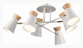 Потолочная люстра EVOLUCE Alfeo SLE1252-502-06 в Режи - rezh.mebel24.online | фото