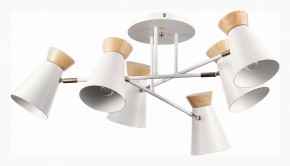 Потолочная люстра EVOLUCE Alfeo SLE1252-502-06 в Режи - rezh.mebel24.online | фото 2