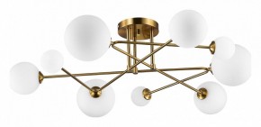 Потолочная люстра EVOLUCE Fantini SLE2211-302-09 в Режи - rezh.mebel24.online | фото