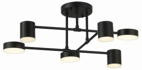 Потолочная люстра EVOLUCE Nobel SLE201042-06 в Режи - rezh.mebel24.online | фото 10
