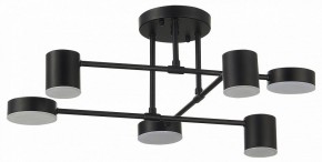 Потолочная люстра EVOLUCE Nobel SLE201042-06 в Режи - rezh.mebel24.online | фото 11