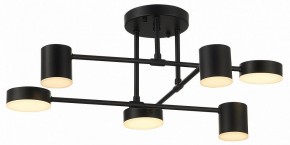 Потолочная люстра EVOLUCE Nobel SLE201042-06 в Режи - rezh.mebel24.online | фото 12