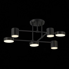 Потолочная люстра EVOLUCE Nobel SLE201042-06 в Режи - rezh.mebel24.online | фото 13