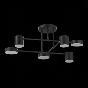 Потолочная люстра EVOLUCE Nobel SLE201042-06 в Режи - rezh.mebel24.online | фото 14