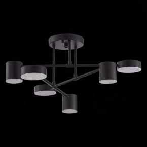 Потолочная люстра EVOLUCE Nobel SLE201042-06 в Режи - rezh.mebel24.online | фото 2