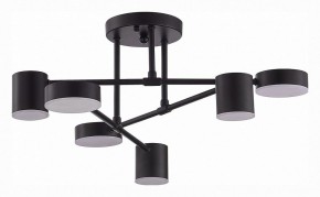 Потолочная люстра EVOLUCE Nobel SLE201042-06 в Режи - rezh.mebel24.online | фото 3
