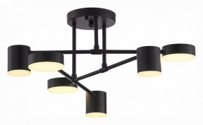 Потолочная люстра EVOLUCE Nobel SLE201042-06 в Режи - rezh.mebel24.online | фото 4