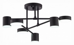 Потолочная люстра EVOLUCE Nobel SLE201042-06 в Режи - rezh.mebel24.online | фото 5