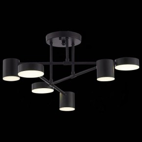 Потолочная люстра EVOLUCE Nobel SLE201042-06 в Режи - rezh.mebel24.online | фото 6