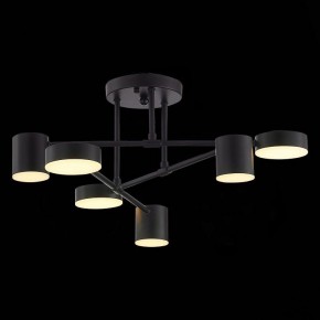 Потолочная люстра EVOLUCE Nobel SLE201042-06 в Режи - rezh.mebel24.online | фото 7