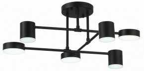 Потолочная люстра EVOLUCE Nobel SLE201042-06 в Режи - rezh.mebel24.online | фото 8
