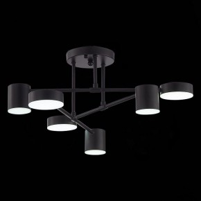 Потолочная люстра EVOLUCE Nobel SLE201042-06 в Режи - rezh.mebel24.online | фото 9