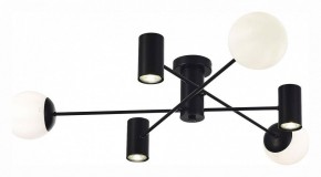 Потолочная люстра EVOLUCE Raito SLE1105-402-06 в Режи - rezh.mebel24.online | фото