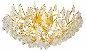 Потолочная люстра Favourite Pluvia 4162-10C в Режи - rezh.mebel24.online | фото 2