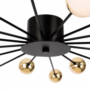 Потолочная люстра Freya Celebrity FR5242CL-16B в Режи - rezh.mebel24.online | фото 8