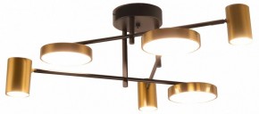 Потолочная люстра Kink Light Рапис 07645-6D,19(20) в Режи - rezh.mebel24.online | фото