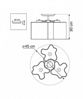 Потолочная люстра Lightstar Nubi 802030 в Режи - rezh.mebel24.online | фото 4