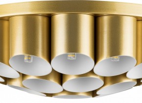 Потолочная люстра Lightstar Siena 720222 в Режи - rezh.mebel24.online | фото 3