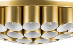 Потолочная люстра Lightstar Siena 720402 в Режи - rezh.mebel24.online | фото 3