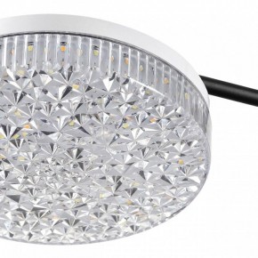 Потолочная люстра Lumion Didana 8236/4CL в Режи - rezh.mebel24.online | фото 10