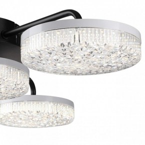 Потолочная люстра Lumion Didana 8236/4CL в Режи - rezh.mebel24.online | фото 7
