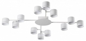 Потолочная люстра Lumion Gareta 8235/12C в Режи - rezh.mebel24.online | фото