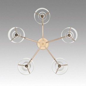 Потолочная люстра Lumion Verdi 6587/5C в Режи - rezh.mebel24.online | фото 4