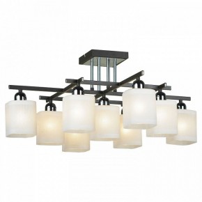Потолочная люстра Lussole Costanzo LSL-9007-09 в Режи - rezh.mebel24.online | фото 2