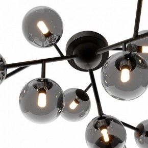 Потолочная люстра Maytoni Dallas MOD545CL-12B в Режи - rezh.mebel24.online | фото 3