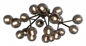 Потолочная люстра Maytoni Dallas MOD545CL-20B в Режи - rezh.mebel24.online | фото 2