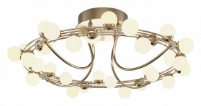 Потолочная люстра Maytoni Tessara MOD081CL-L36G3K в Режи - rezh.mebel24.online | фото 2