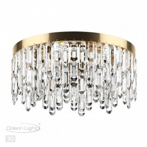 Потолочная люстра Odeon Light Dakisa 4986/6C в Режи - rezh.mebel24.online | фото 4