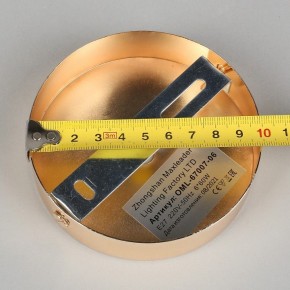 Потолочная люстра Omnilux Acuto OML-67007-06 в Режи - rezh.mebel24.online | фото 8